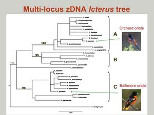 omland_researchGroupDesc_1
