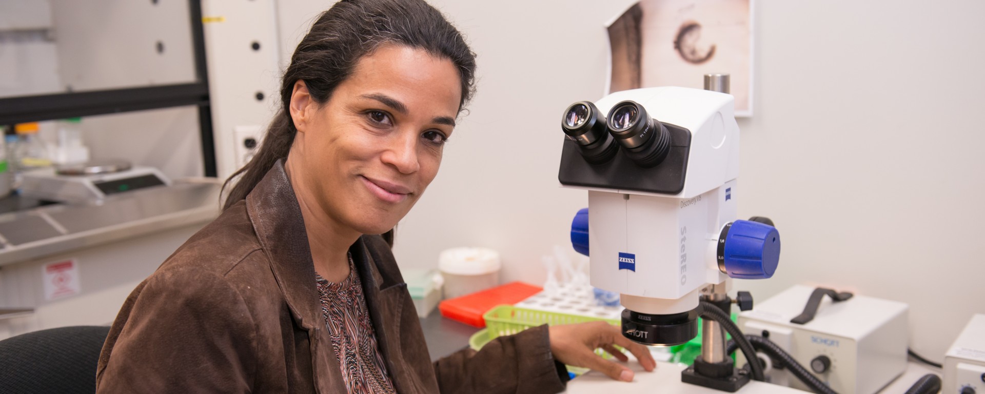 Rachel Brewster receives NIH grant
