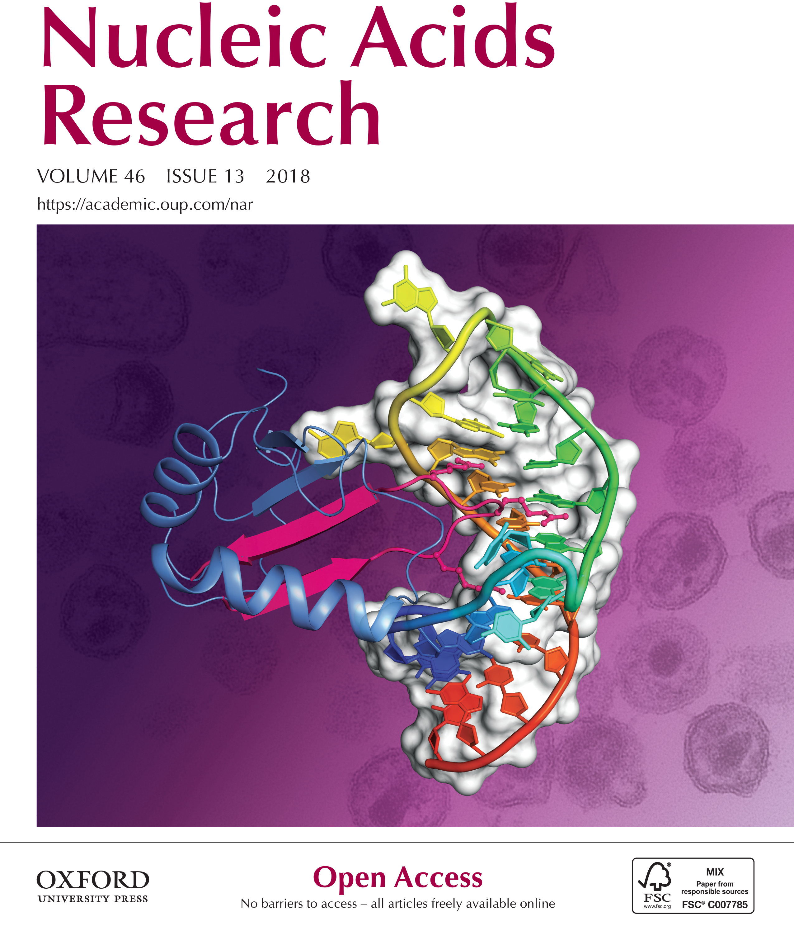 Codon-specific effects of tRNA anticodon loop modifications on translational misreading errors in the yeast Saccharomyces cerevisiae