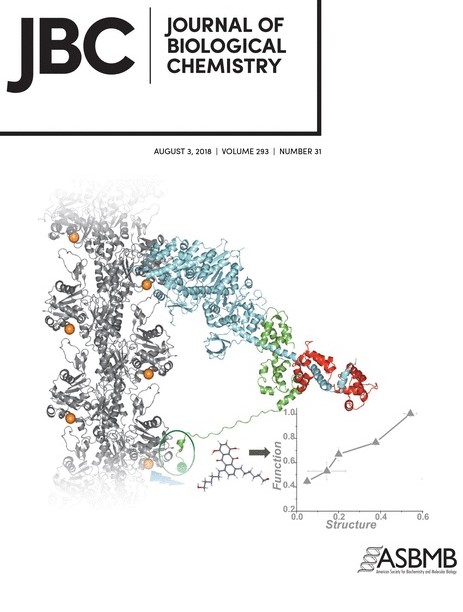 Set4 is a chromatin-associated protein, promotes survival during oxidative stress, and regulates stress response genes in yeast