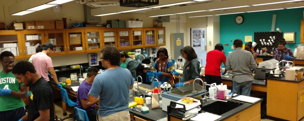 Students doing lab work in teaching lab during Phage Hunters BIOL 302L class. 