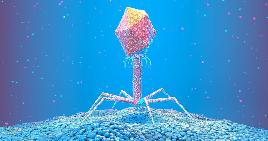 Viruses are both the villains and heroes of life as we know…