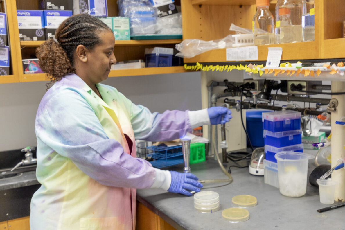 Partnership with biotech giant Genentech benefits UMBC graduate students