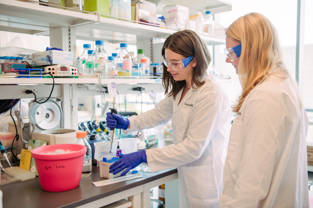 More life science grad students to be prepared for interdisciplinary success following renewed NIH funding for Chemistry Biology Interface program