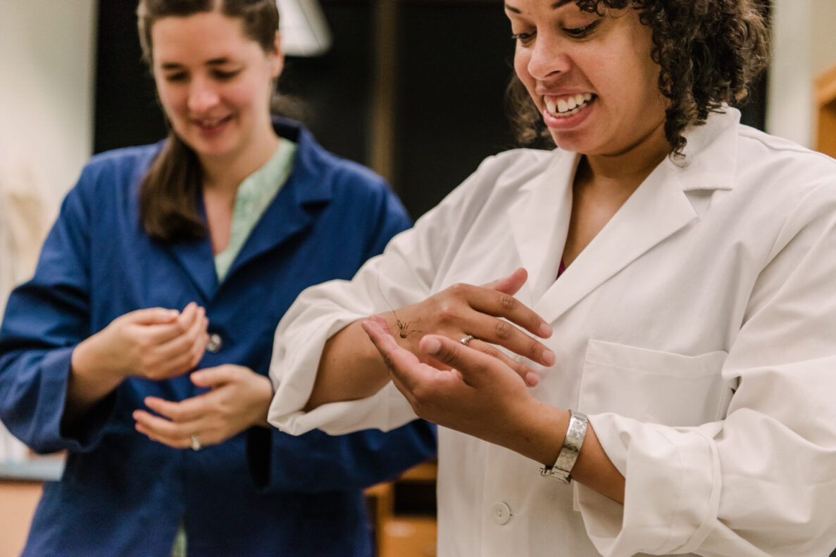 A web of mentorship: Weaving support and arachnid research at UMBC